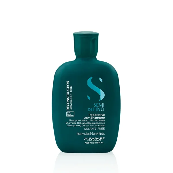 RECONSTRUCTION 250 ML